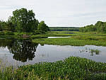 Click to see Y-TRI-CF006623-ISO-400.JPG