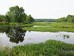 Click to see Y-TRI-CF006630-ISO-1600.JPG