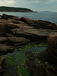 Click to see Y-TRI-CF006670.JPG