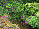 Click to see Y-TRI-CF006686-MOD.JPG