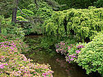 Click to see Y-TRI-CF006686.JPG
