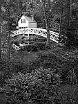 Click to see Y-TRI-CF006694-MOD.JPG