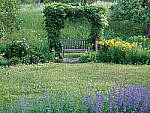 Click to see Y-TRI-CF006695.JPG