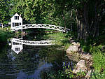 Click to see Y-TRI-CF006699.JPG