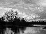 Click to see Y-JG-P1-XT-150MP-ACHROMATIC-13569.JPG