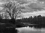 Click to see Y-JG-P1-XT-150MP-ACHROMATIC-13591-MOD.JPG
