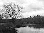 Click to see Y-JG-P1-XT-150MP-ACHROMATIC-13591.JPG