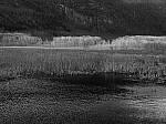 Click to see Y-JG-P1-XT-150MP-ACHROMATIC-13684-MOD.JPG