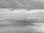 Click to see Y-JG-P1-XT-150MP-ACHROMATIC-13684.JPG