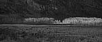 Click to see Y-JG-P1-XT-150MP-ACHROMATIC-13690-MOD.JPG