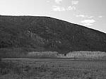 Click to see Y-JG-P1-XT-150MP-ACHROMATIC-13690.JPG