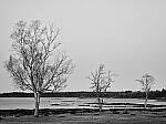 Click to see Y-JG-P1-XT-150MP-ACHROMATIC-13750-MOD.JPG