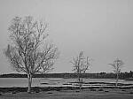 Click to see Y-JG-P1-XT-150MP-ACHROMATIC-13750.JPG