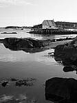 Click to see Y-JG-P1-XT-150MP-ACHROMATIC-13783.JPG