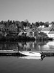 Click to see Y-JG-P1-XT-150MP-ACHROMATIC-13791.JPG