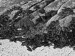 Click to see Y-JG-P1-XT-150MP-ACHROMATIC-13825-MOD.JPG