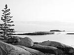 Click to see Y-JG-P1-XT-150MP-ACHROMATIC-13826.JPG