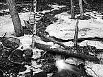 Click to see Y-JG-P1-XT-150MP-ACHROMATIC-13855-MOD.JPG