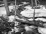 Click to see Y-JG-P1-XT-150MP-ACHROMATIC-13855.JPG