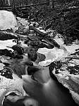 Click to see Y-JG-P1-XT-150MP-ACHROMATIC-13858.JPG