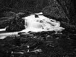 Click to see Y-JG-P1-XT-150MP-ACHROMATIC-13882-MOD.JPG