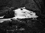 Click to see Y-JG-P1-XT-150MP-ACHROMATIC-13882.JPG
