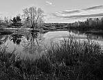 Click to see Y-JG-P1-XT-150MP-ACHROMATIC-13885-13886-STACK-MOD.JPG