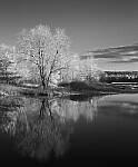Click to see Y-JG-P1-XT-150MP-ACHROMATIC-13890-MOD.JPG