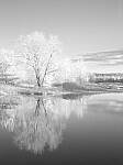 Click to see Y-JG-P1-XT-150MP-ACHROMATIC-13890.JPG