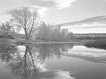 Click to see Y-JG-P1-XT-150MP-ACHROMATIC-13900.JPG