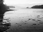 Click to see Y-JG-P1-XT-150MP-ACHROMATIC-13920-STACK-1-MOD.JPG