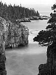Click to see Y-JG-P1-XT-150MP-ACHROMATIC-14044.JPG