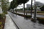 Click to see Y-WB-R0000028.JPG