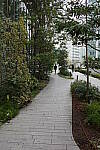 Click to see Y-WB-R0000073.JPG