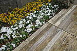 Click to see Y-WB-R0000127.JPG