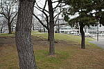 Click to see Y-WB-R0000181.JPG
