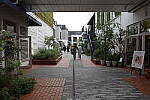 Click to see Y-WB-R0000185.JPG