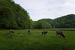 Click to see YR0001077-dng-camera-raw.jpg