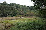 Click to see Y-WB-GRIIIx-R0000006.JPG