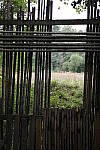 Click to see Y-WB-GRIIIx-R0000017.JPG