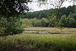 Click to see Y-WB-GRIIIx-R0000027.JPG