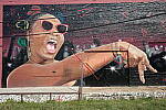 Click to see Y-WB-GRIIIx-R0000222.JPG