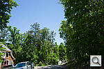 Click to see GRPINE_ACRu150r03.JPG