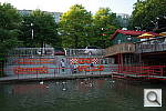 Click to see YR0992402.JPG