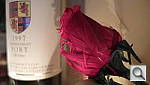 Click to see YSAM_0011.JPG