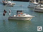 Click to see YSAM_0087.JPG