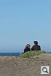 Click to see YSAM_0119.JPG