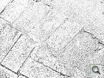 Click to see YSAM_0137.JPG