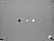 Click to see EX2FFL08T.JPG