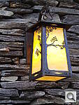 Click to see Y20130406_184600.JPG